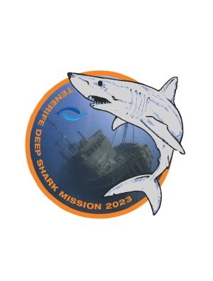 DSVP6-4-Tenerife-Deep-Shark-Mission